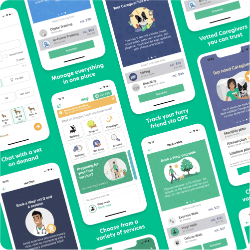 Person walking a dog